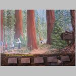 20060822_22Sequoia_005 copia.jpg